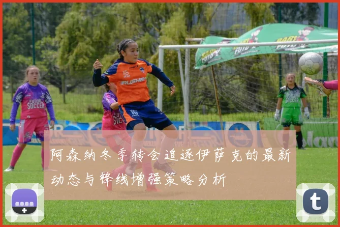 阿森纳冬季转会追逐伊萨克的最新动态与锋线增强策略分析